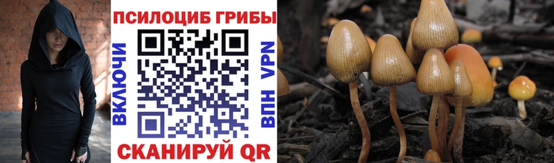 OMG сайт  Пустошка  Галлюциногенные грибы мухоморы 